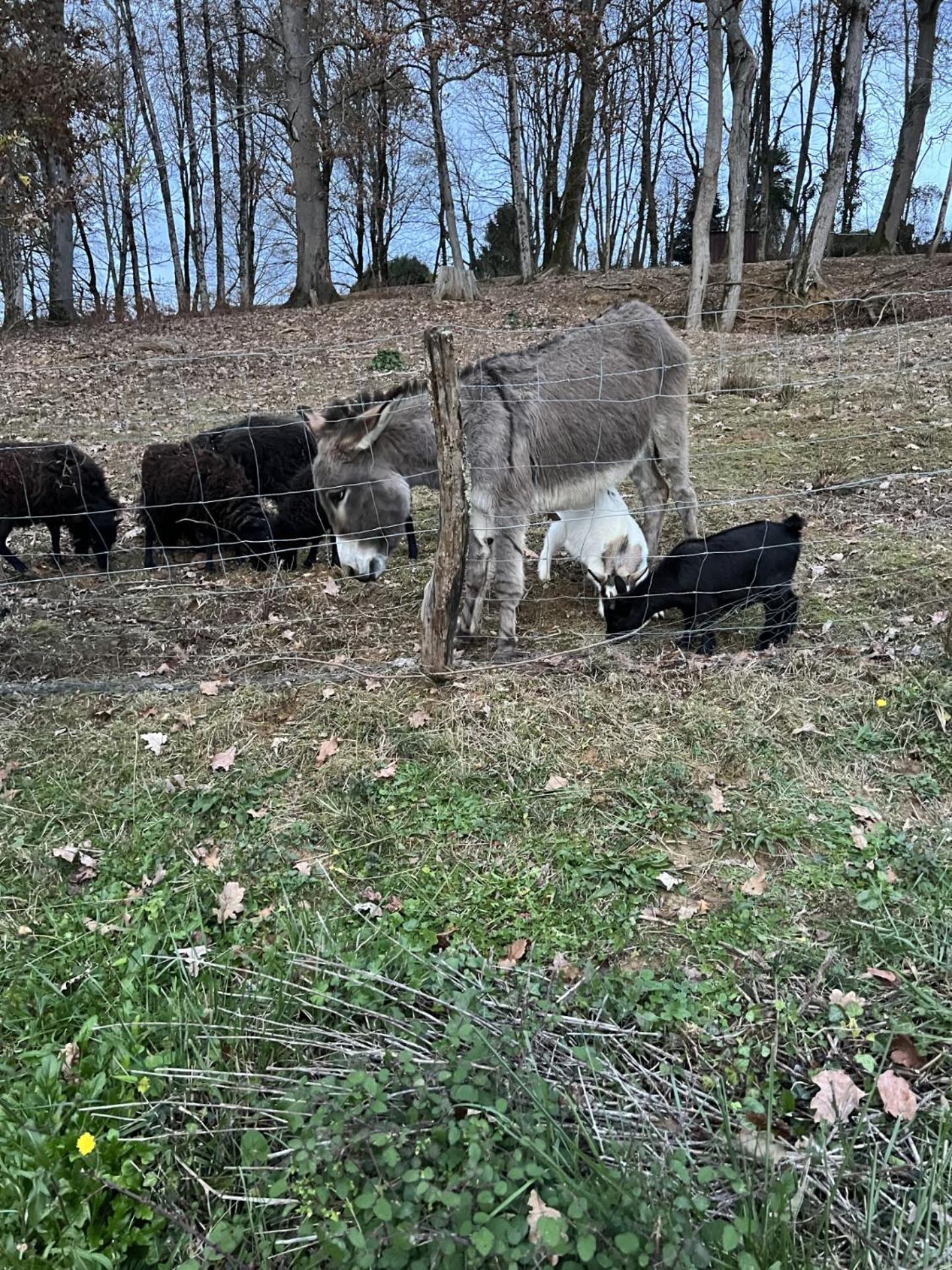 4/6 Personnes La Melodie Du Bonheur Casa vacanze Habas